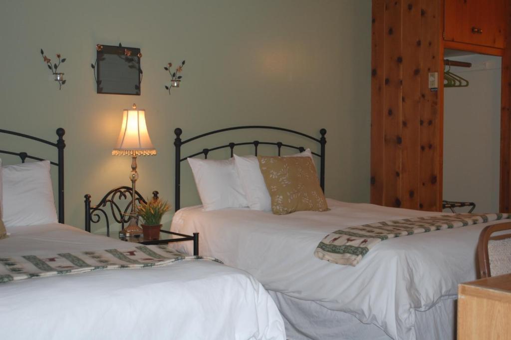 بيشوب Trees Motel المظهر الخارجي الصورة
