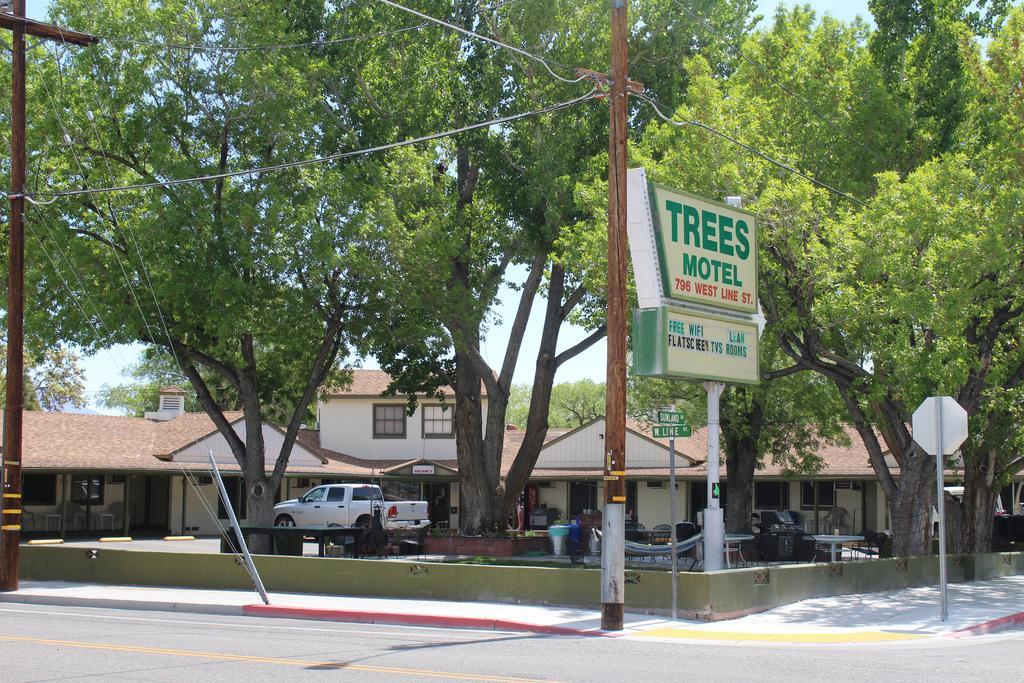 بيشوب Trees Motel المظهر الخارجي الصورة